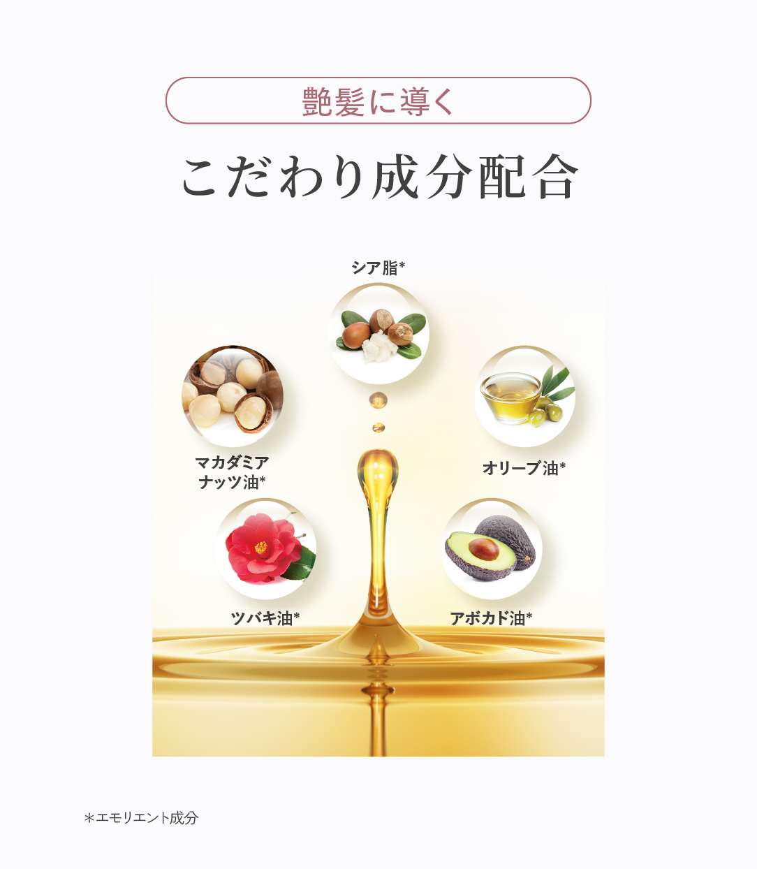 艶髪に導くこだわり成分